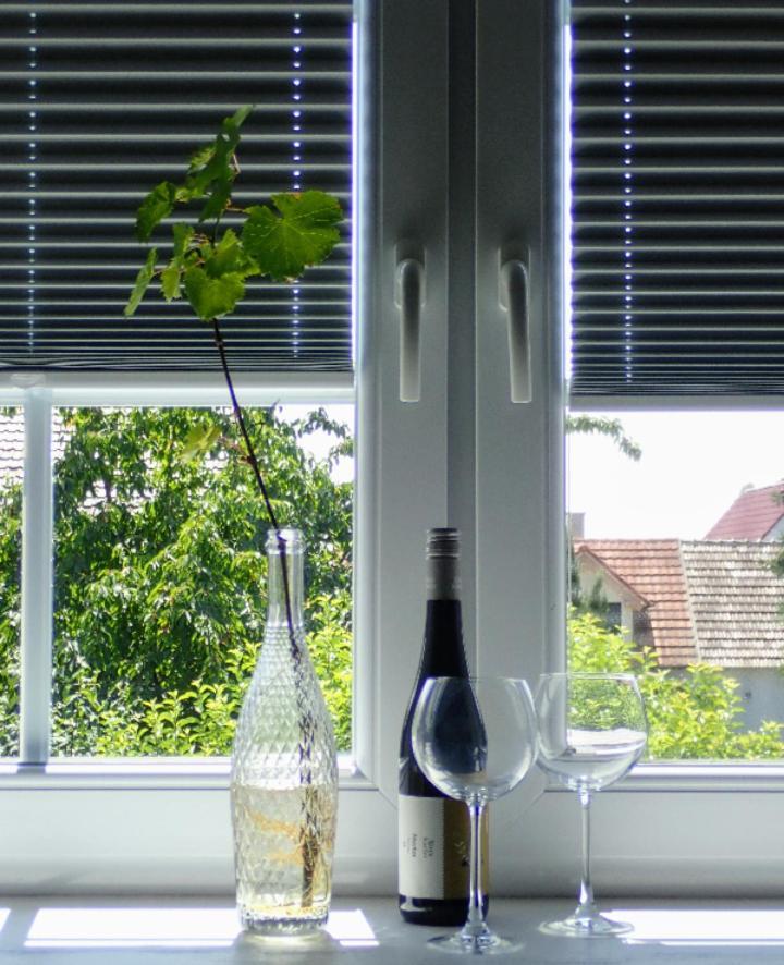 Oase Der Geborgenheit Appartement Venningen Buitenkant foto